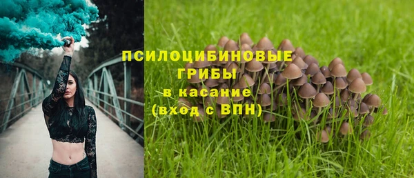 мяу мяу кристалл Арсеньев