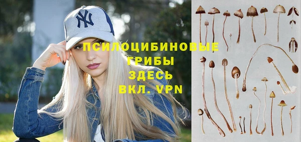spice Снежинск