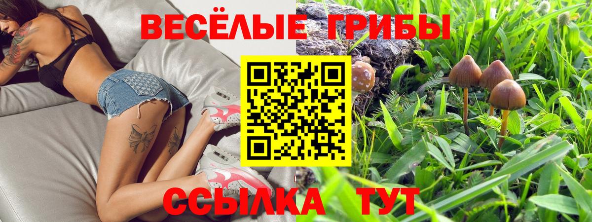 Галлюциногенные грибы Magic Shrooms  наркошоп  Галлюциногенные грибы прущие грибы  Краснотурьинск  Вход с VPN 